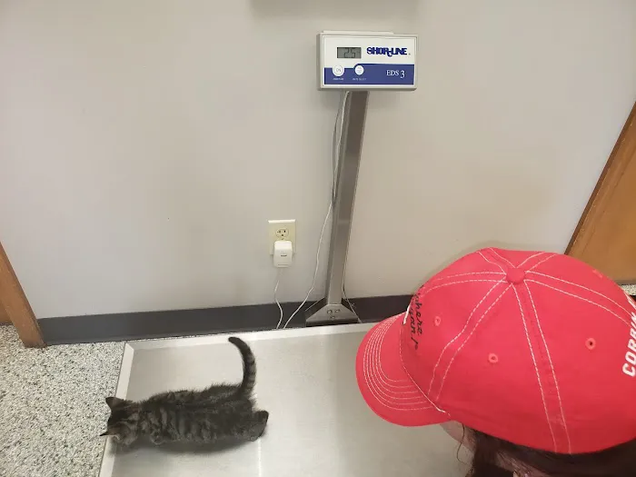 Salem Veterinary Service Picture 1