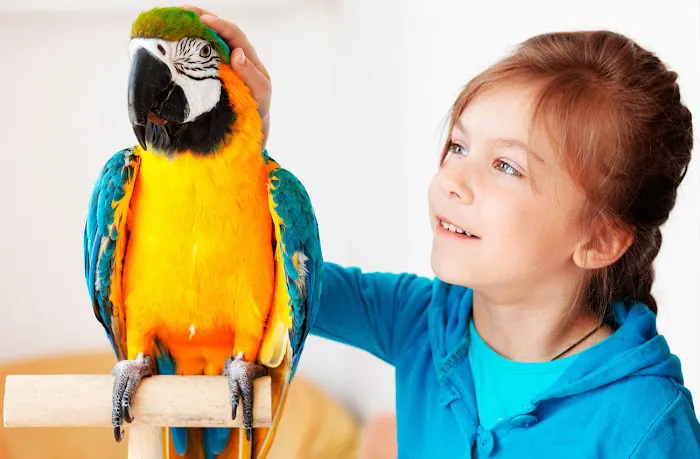 RLM Veterinary Services P.C. Picture 8