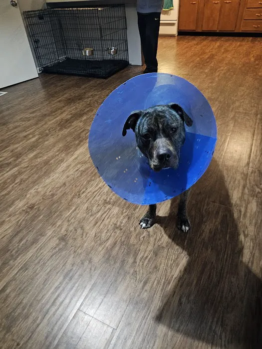 Hope Veterinary Clinic: East Picture 5