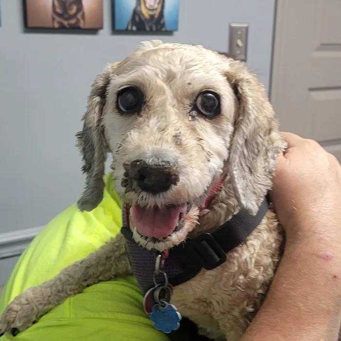 Hope Veterinary Clinic: East Picture 4