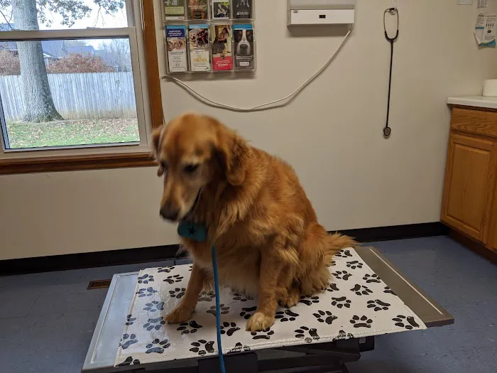 Eastside Veterinary Hospital Picture 4