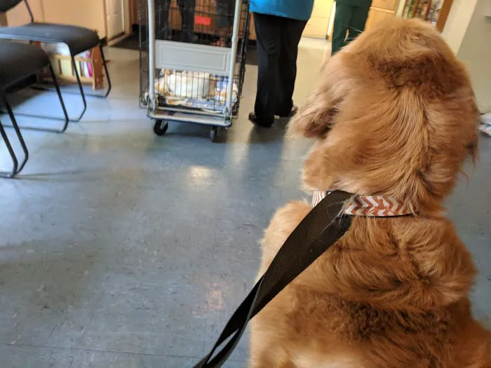 Eastside Veterinary Hospital Picture 7