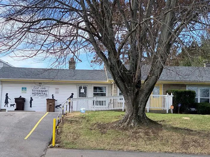 Eastside Veterinary Hospital Picture 9
