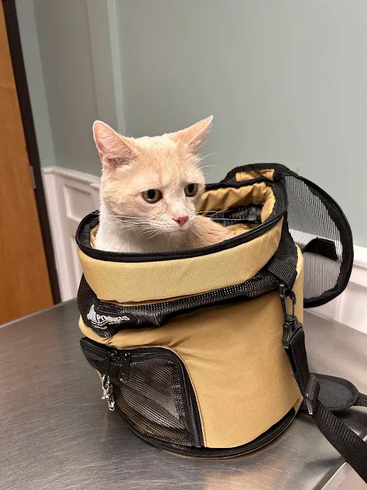 Grant County Veterinary Clinic Picture 2