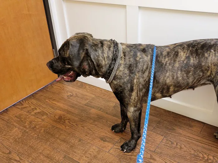 Grant County Veterinary Clinic Picture 5