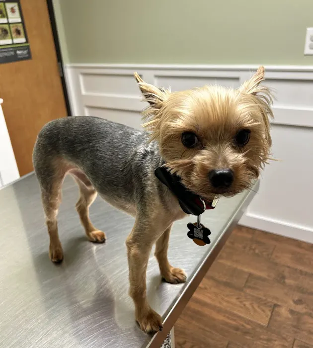 Grant County Veterinary Clinic Picture 3