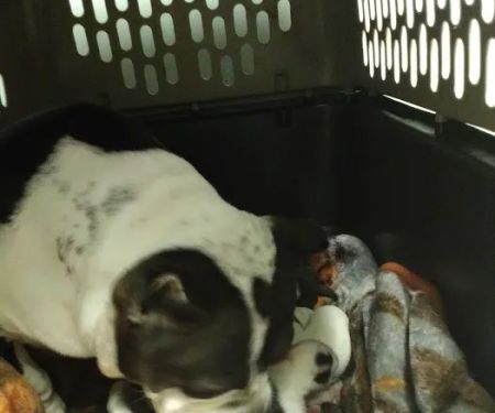 Grant County Veterinary Clinic