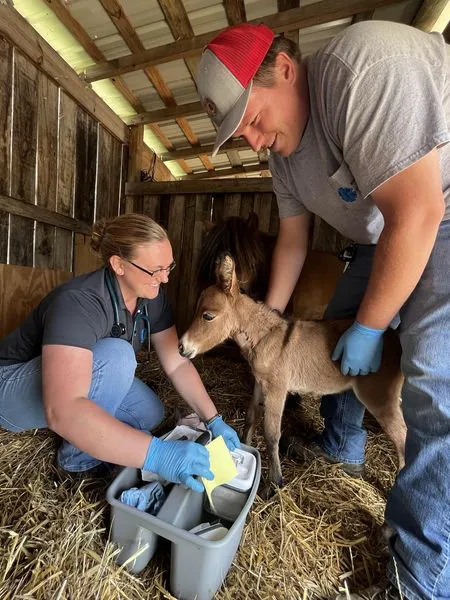 Bluegrass Mobile Veterinary Services Picture 5