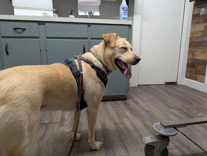 Frankfort Veterinary Clinic Picture 4