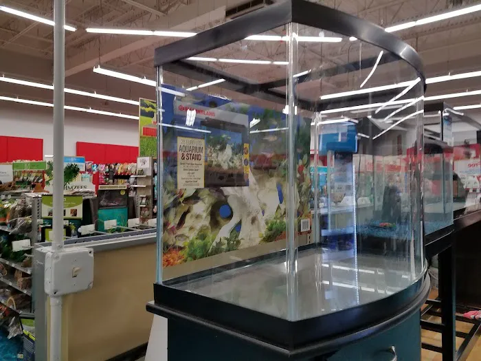 Petco Picture 4