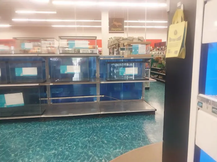 Petco Picture 6