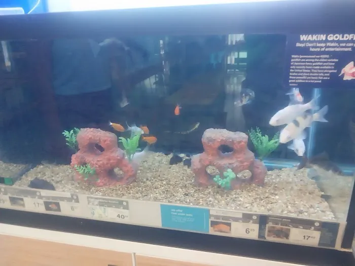 Petco Picture 10