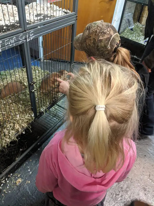 Jayden's Jungle Exotic Pet Store Picture 6