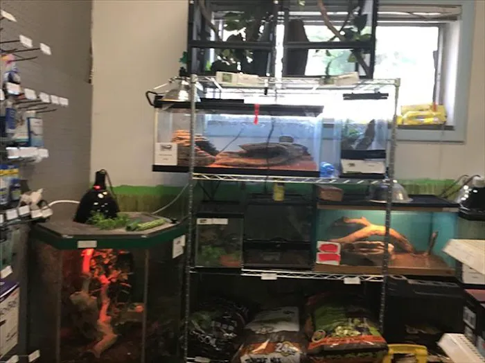 Jayden's Jungle Exotic Pet Store Picture 10