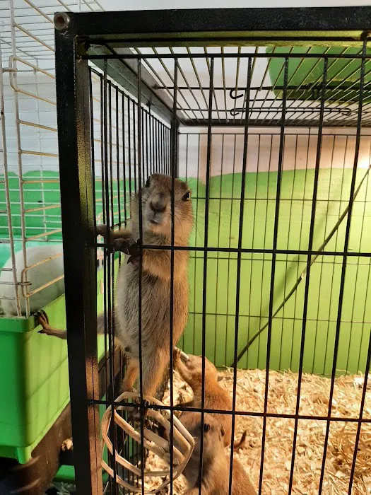 Jayden's Jungle Exotic Pet Store Picture 3