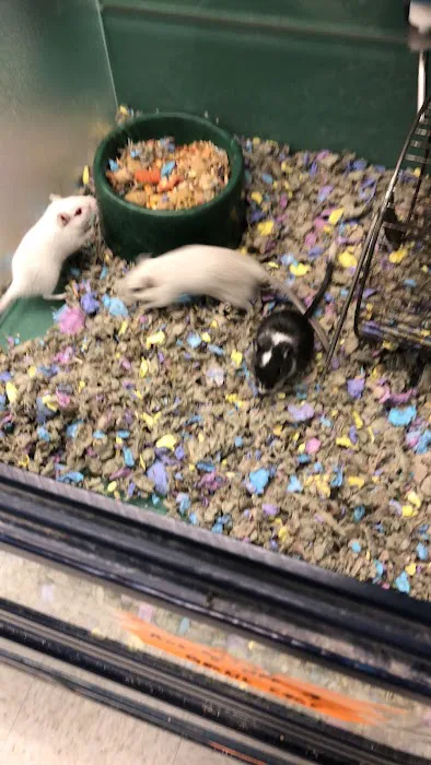Planet Pet Picture 8