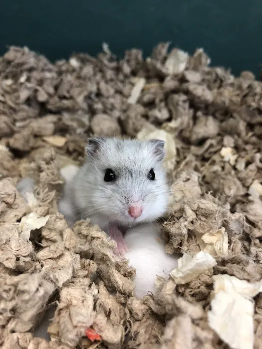 Planet Pet Picture 4