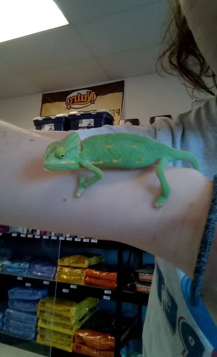 Planet Pet Picture 9