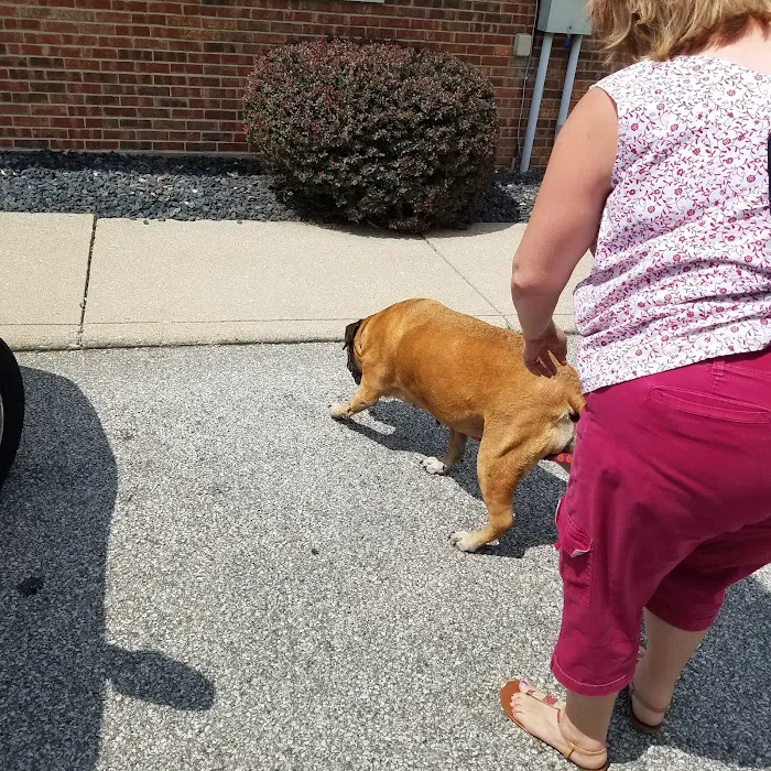 Tri-County Veterinary Clinic Picture 9