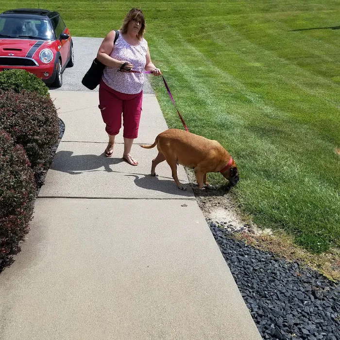 Tri-County Veterinary Clinic Picture 5