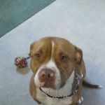 Tri-County Veterinary Clinic