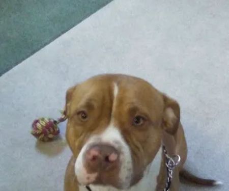 Tri-County Veterinary Clinic