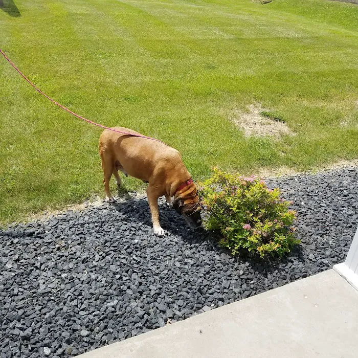 Tri-County Veterinary Clinic Picture 4