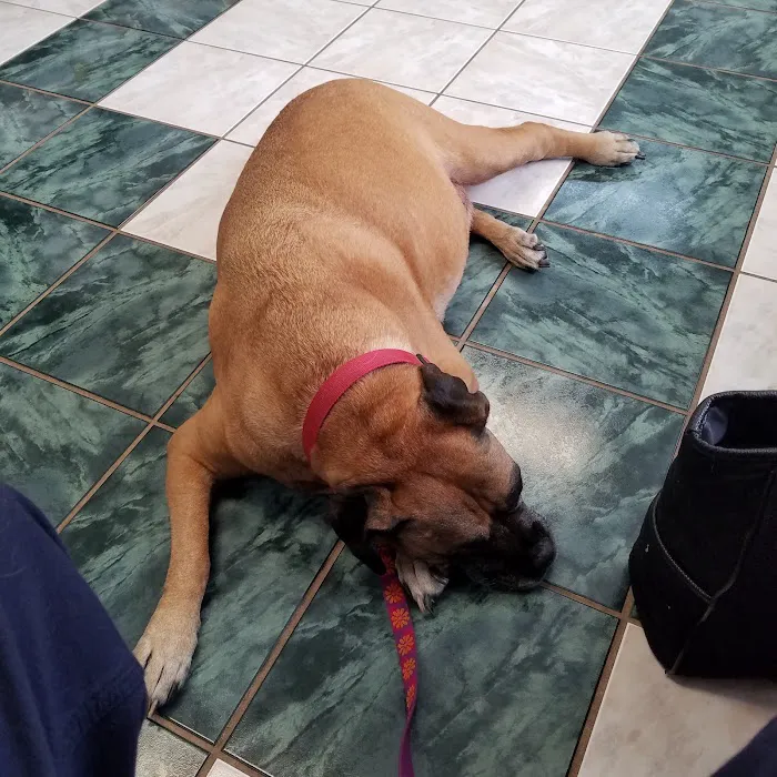 Tri-County Veterinary Clinic Picture 3