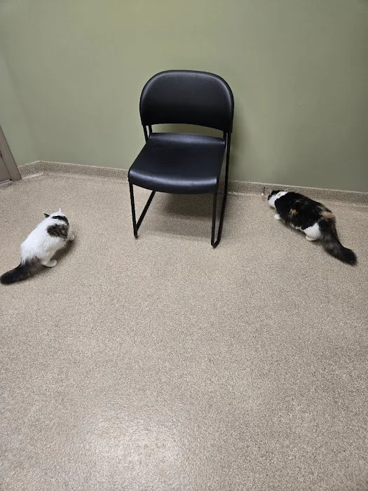 Dearborn County Animal Clinic Picture 5