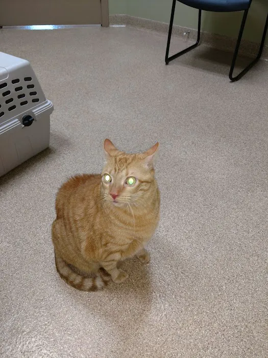 Dearborn County Animal Clinic Picture 3