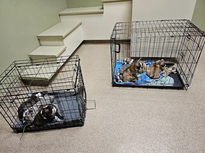 Dearborn County Animal Clinic Picture 10