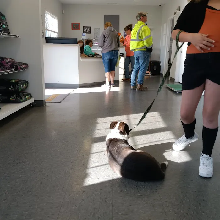 Rising Sun Veterinary Clinic Picture 10