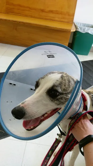 Lawrenceburg Veterinary Clinic Picture 8