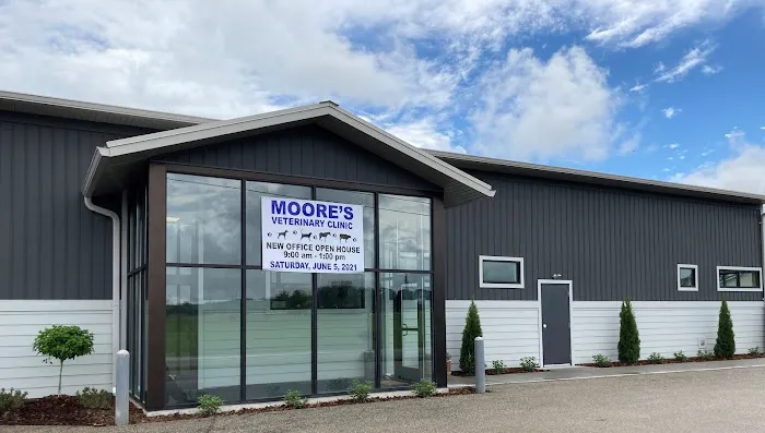 Moore's Veterinary Clinic Picture 8