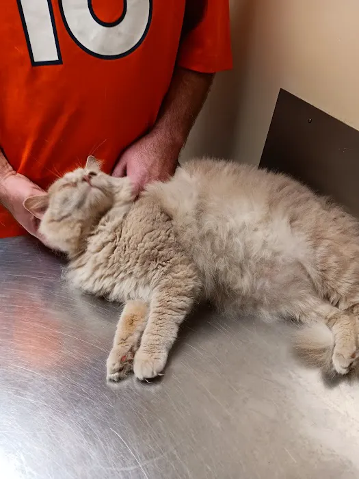 Bright Veterinary Clinic Picture 4