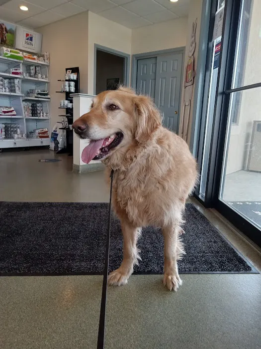 Bright Veterinary Clinic Picture 1