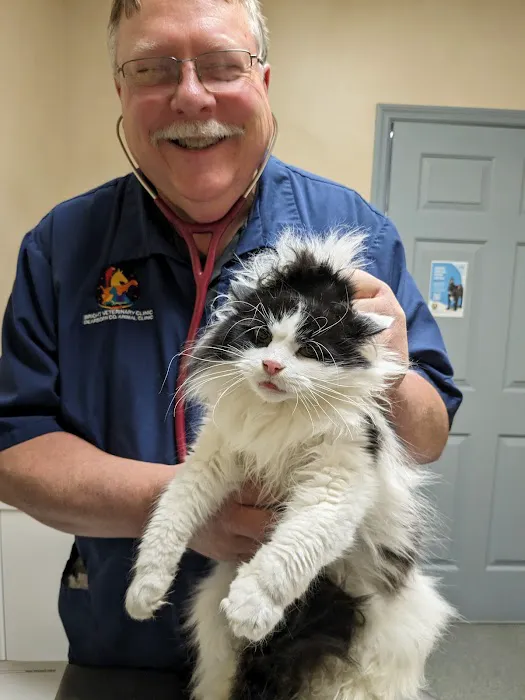 Bright Veterinary Clinic Picture 9