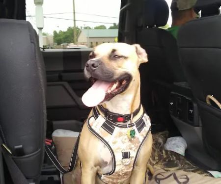Roe-Burke Veterinary Services
