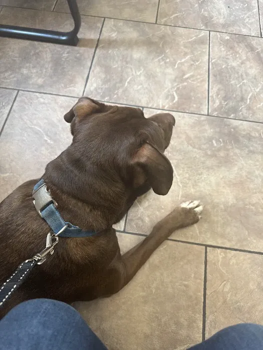 Hardinsburg Animal Clinic Picture 7
