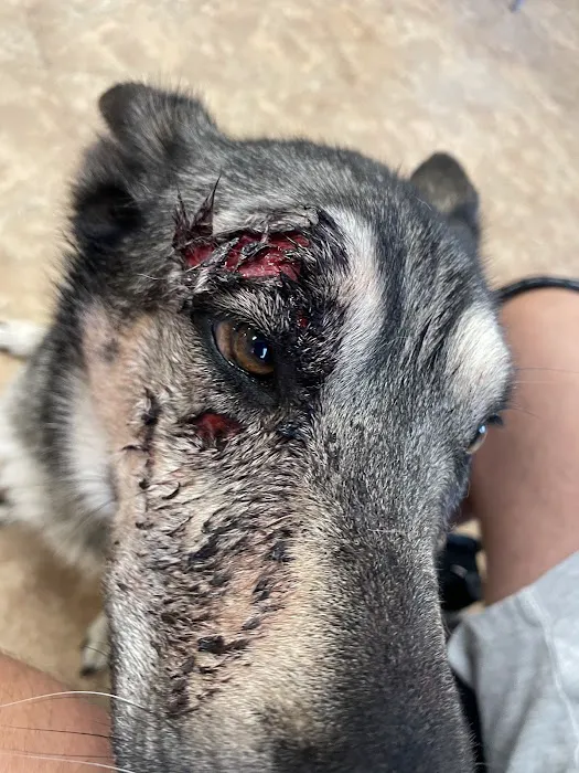 Elizabethtown Animal Hospital Inc Picture 9