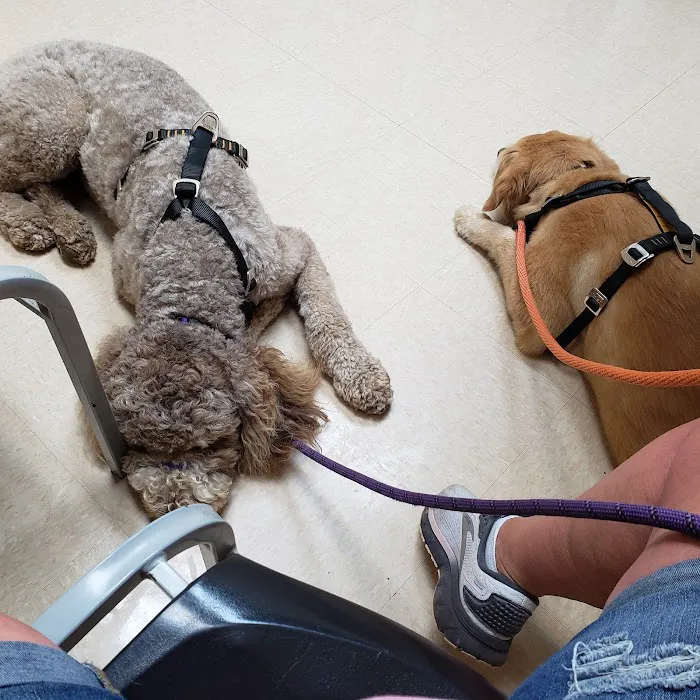 Elizabethtown Animal Hospital Inc Picture 3