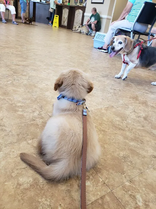 Elizabethtown Animal Hospital Inc Picture 4