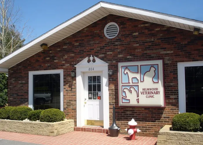 Helmwood Veterinary Clinic Picture 1