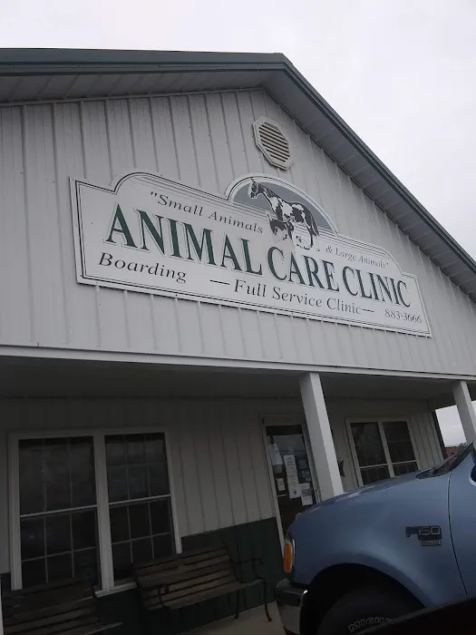 Moore's Animal Care Clinic Picture 10