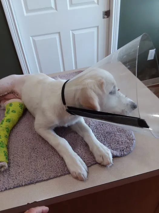 Orange County Animal Clinic Picture 4
