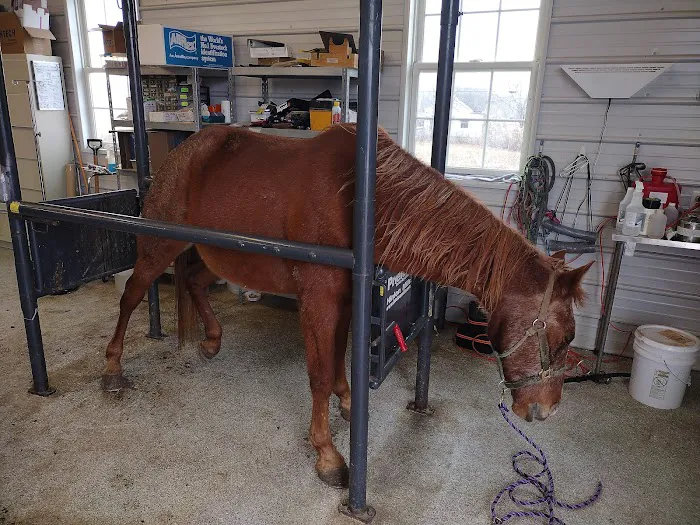 Orange County Animal Clinic Picture 2
