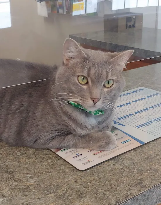 Kirk Veterinary Service Picture 8