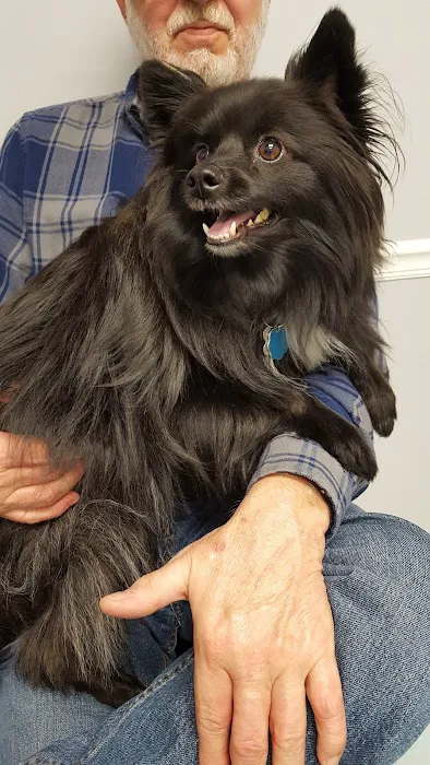 Kirk Veterinary Service Picture 2