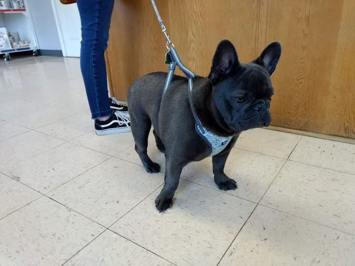 Kirk Veterinary Service Picture 4