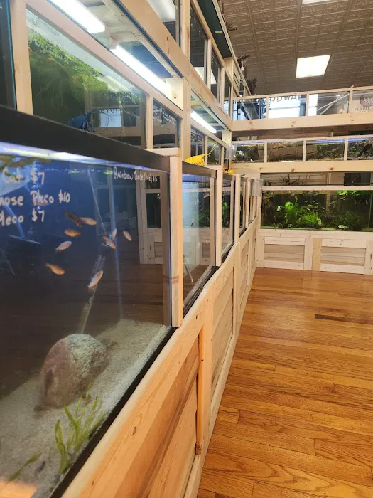 Purple Moon Aquatics LLC Picture 1